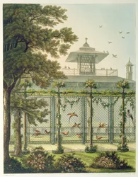 La faisanera, grabada por Joseph Constantine Stadler (activo 1780-1812), de «Designs for the Pavilion at Brighton», publicada en 1808